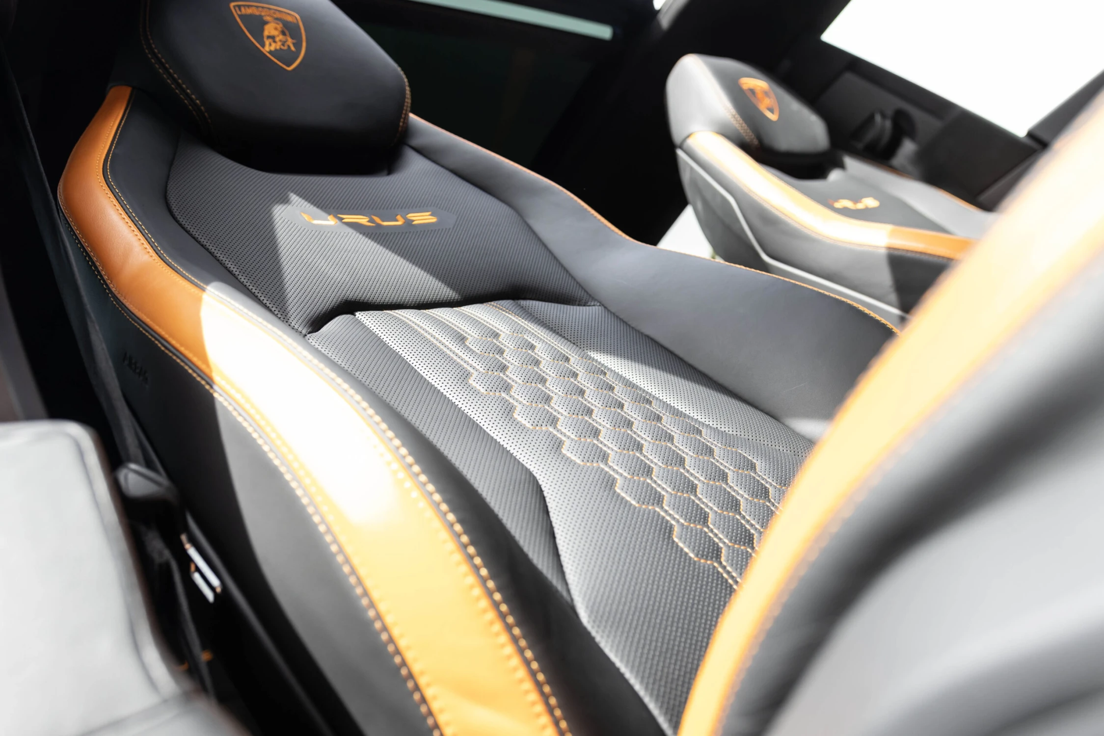 Car Polish